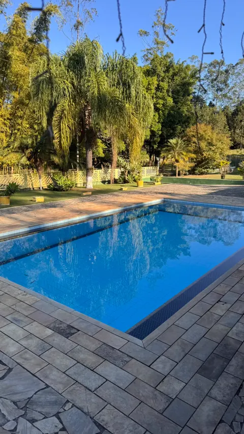 Piscina cercada de palmeiras em dia de sol
