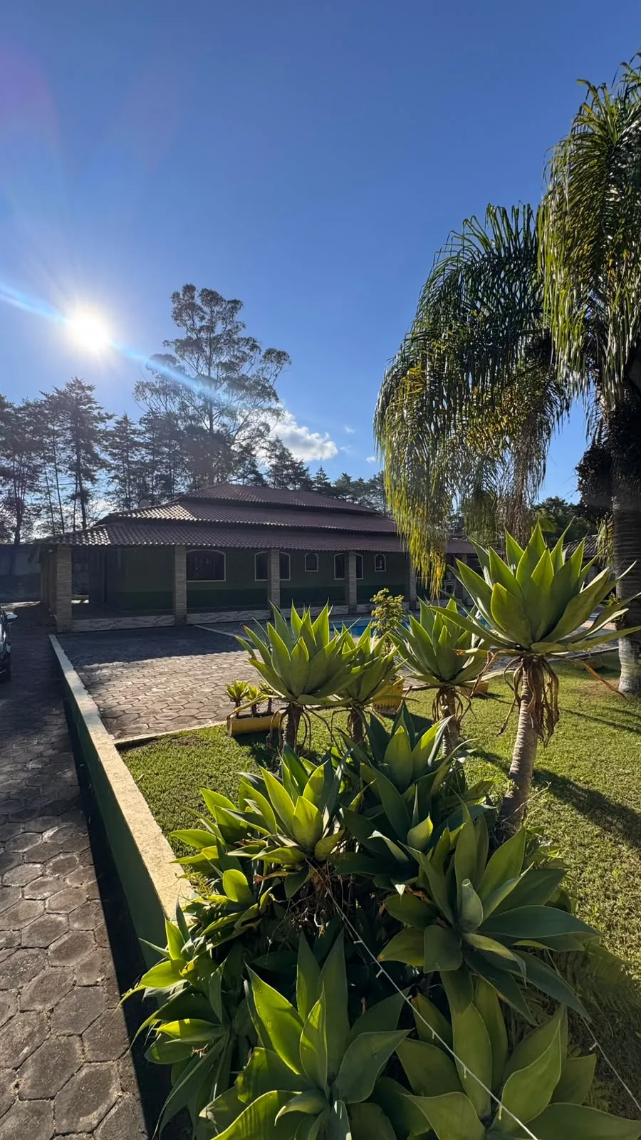 Piscina em dia de sol, com plantas na borda e a casa ao fundo